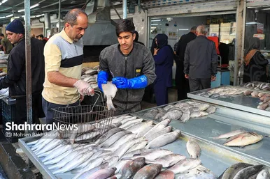 گزارش تصویری |  بازار ماهی فروشان در شهرک عرب‌های مشهد
