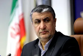 اسلامی: ایران توان فنی ساخت بمب اتم را دارد، ولی چنین برنامه&zwnj;ای در دستور کار نیست| اگر نمی&zwnj;خواهند به برجام بازگردند وقت طرفین را نگیرند