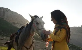 مستند &laquo;رویای یک اسب&raquo; در راه آمریکا