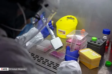 خط اول تولید واکسن کووایران برکت