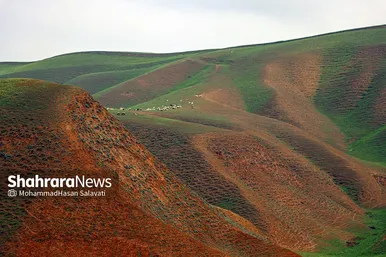 طبیعت زیبای ترکمن صحرا