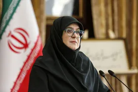 سخنگوی دولت: کاهش سرمایه&zwnj;های اجتماعی و کاهش اعتماد دولت &ndash; ملت، به کشورمان ضربه وارد می&zwnj;کند