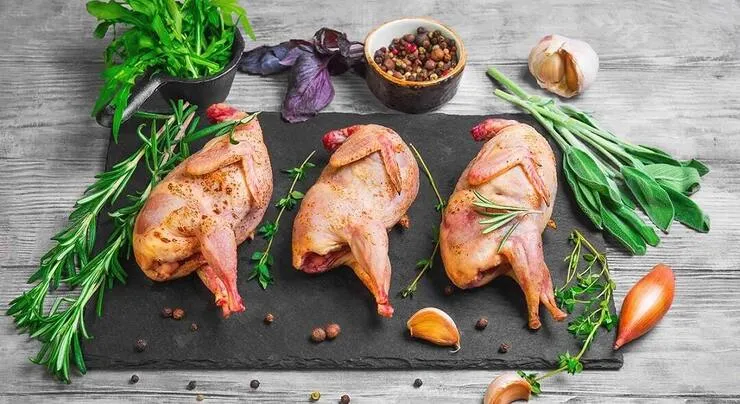 خواص بی شمار گوشت بلدرچین برای سلامتی
