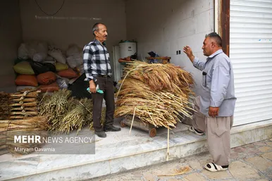 گزارش تصویری | جاروبافی در روستای ملاحسن
