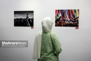 نمایشگاه عکس 