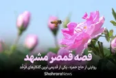 ویدئو | روایتی از حاج حمزه، یکی از قدیمی‌ترین گلکارهای فرخّد | قصه قمصر مشهد