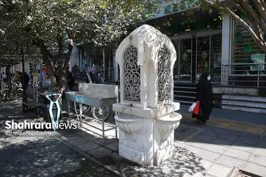 فعالیت پاکبان‌ها در روزهای پایانی ماه صفر