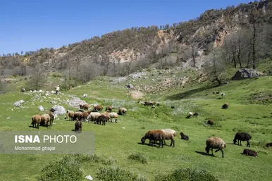 ایران زیباست | ارتفاعات برفچال؛ شهرستان مینودشت