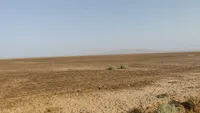 تالاب بندعلیخان ورامین در آستانه خشکی مطلق | تالاب از رودخانه شور سهمی ندارد