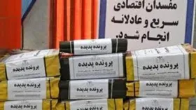 متهم حبس ابدی پرونده پدیده شاندیز در فرودگاه کیش +عکس