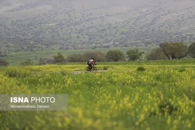 ایران زیباست | زمستان بَهاری در فارس