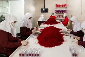 سود طلای سرخ ایران در جیب دیگر کشور&zwnj;ها | صادرکنندگان رسمی زعفران، گرفتار موانع ارزی