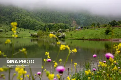ایران زیباست | بره سر