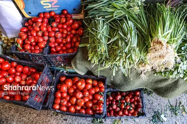 گزارش تصویری | نظارت اتاق اصناف بر کسب و کار بلوار توس