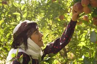 همه چیز درباره سریال «مادران» مجموعه جدید تلویزیون + تیزر، خلاصه داستان و زمان پخش