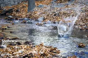 پیش&zwnj;بینی هواشناسی مشهد و خراسان رضوی امروز (شنبه، ۱۱ مهر ۱۴۰۵) | کاهش ۱۲ درجه&zwnj;ای دمای مشهد تا سه&zwnj;شنبه