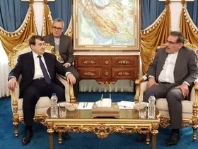 شمخانی در دیدار با دستیار پوتین: همکاری&zwnj;های اقتصادی ایران و روسیه در مسیر توافقات راهبردی است+ فیلم