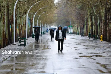 گزارش تصویری|حال و هوای بارانی در پارک ملت مشهد