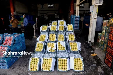 گزارش تصویری | بازدید رئیس کمیسیون اصل ۹۰ از میدان‌بار سپاد مشهد (۲۴ بهمن ۱۴۰۳)