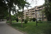 شهروند خبرنگار | درخواست تغییر زمان نظافت فضای سبز مجتمع مسکونی ششصددستگاه  مشهد + پاسخ