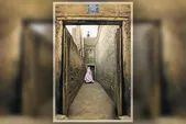 مثل یک کبوتر سفید