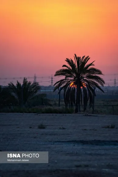 گزارش تصویری | نجف و کربلا یک روز مانده به اربعین ۱۴۴۸