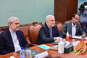کاظمی قمی: مشارکت اقوام &lrm;افغانستان در ساختار دولت راه خروج از وضعیت موجود است