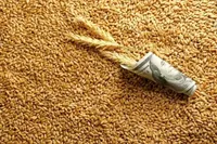 دولت از تثبیت نرخ ارز گندم و دارو روی ۲۸ هزار و ۵۰۰ تومان خبر داد
