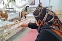هنرمندان از احیای دوباره هنر قدیمی فرت بافی می گویند | بازگشت یک هنر کهن خراسانی به زندگی امروز