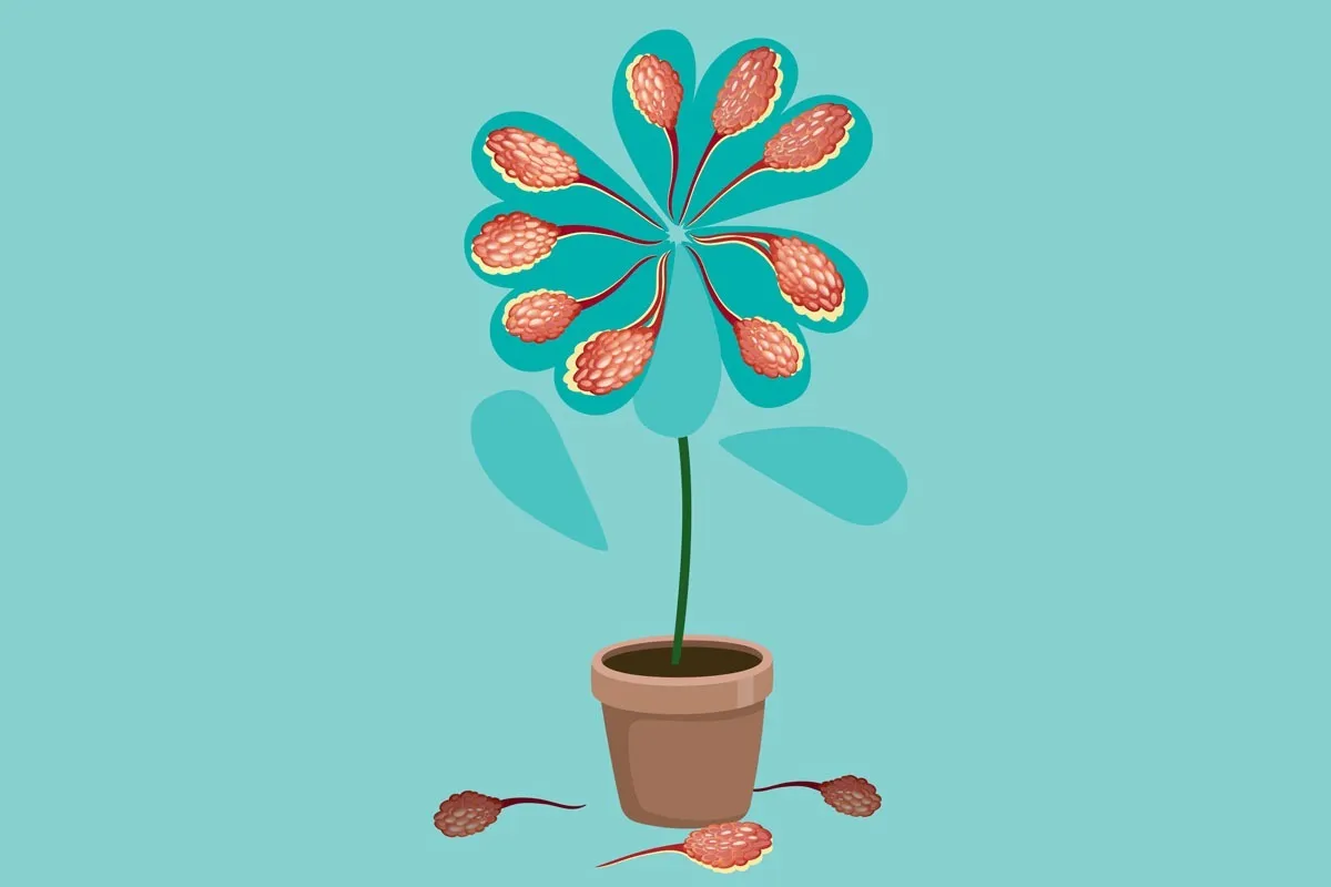 سرطان سینه تهدیدی برای سلامتی و زیبایی