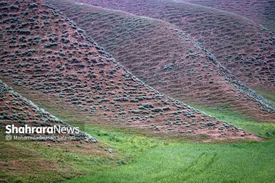 طبیعت زیبای ترکمن صحرا