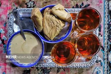 برداشت نیشکر در مازندران