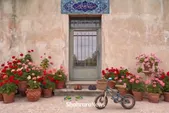 ویدئو | صدای کودکانه در حیاط خانه