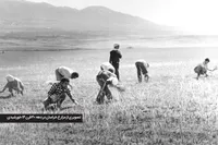 یادی از باران‌های سیل آسا در دهه ۳۰ شمسی در مشهد| باران، نان را برد
