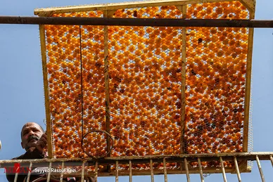 بام‌های طلایی خرو