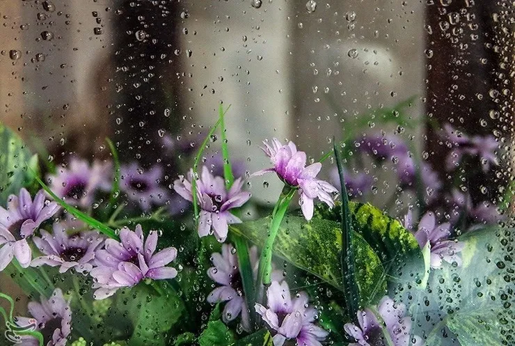 پیش بینی آب و هوا برای هفته دوم تعطیلات نوروز ۱۴۰۱ | برف و باران در برخی استان‌ها