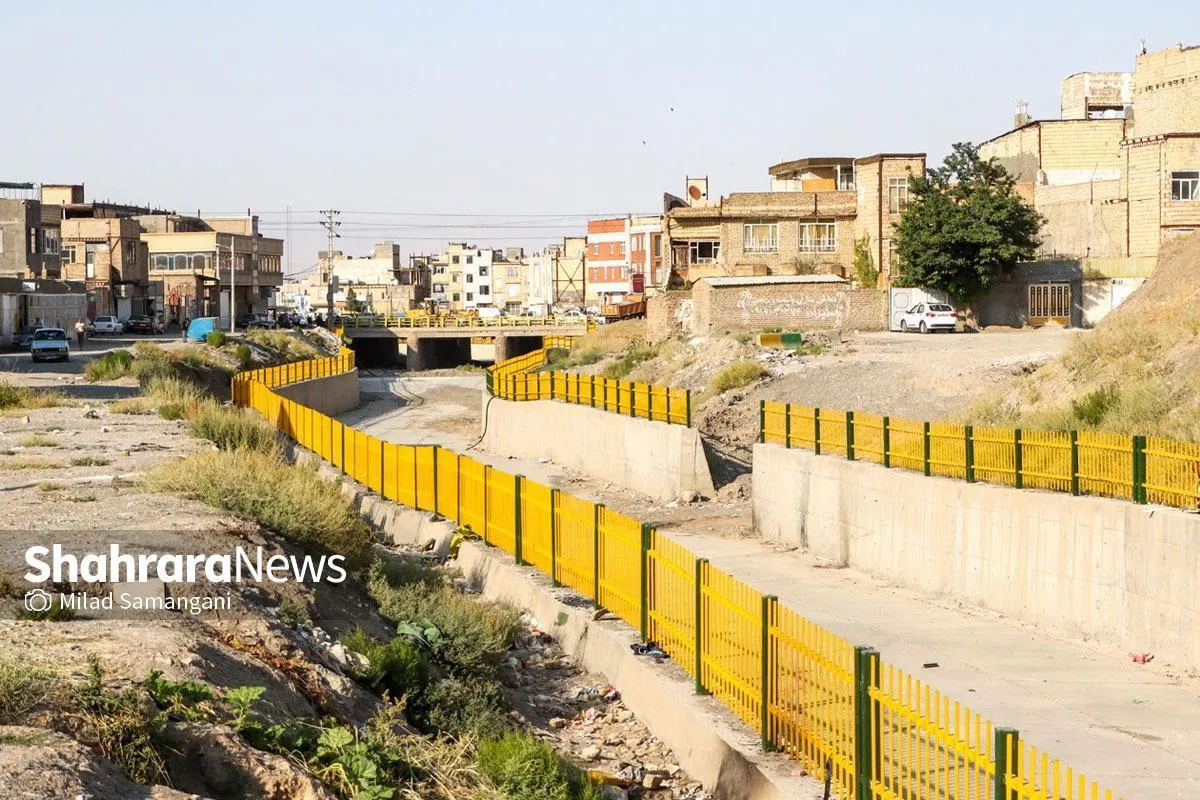 سامان‌دهی کال زرکش مشهد در مراحل پایانی