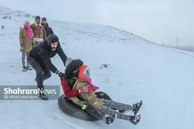 ویدئو| برف کم&zwnj;سابقه مشهدی&zwnj;ها را سر شوق آورد