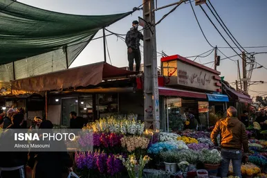 ایران زیباست | بازار گل محلاتی در روزهای پایانی ۱۴۰۳