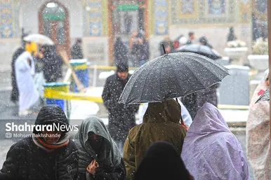 گزارش تصویری | یک روز برفی در حرم مطهر امام رضا(ع) - ۲۱ بهمن ۱۴۰۳