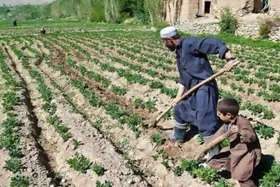 هشدار فائو درباره احتمال وقوع سیلاب&zwnj;های ناگهانی و افزایش مشکلات کشاورزان در افغانستان