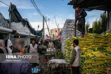 بازار گل محلاتی تهران در آستانه سال نو