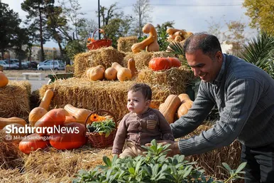 جشنواره‌ی طعم و رنگ پاییز