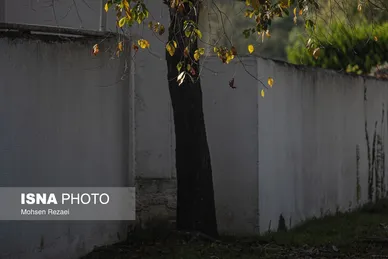 گزارش تصویری | پادشاه فصل‌ها پاییز