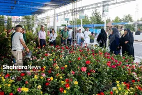 نمایشگاه گل وگیاه مشهد ۱۴۰۵ | گل برای بازدیدکنندگان ارزان و برای تولیدکنندگان گران است + فیلم