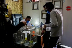 قطع منظم برق در پی توقف مازوت&zwnj;سوزی در ۳ نیروگاه کشور | آغاز خاموشی