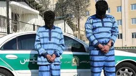 ویدئو| اعترافات متهمان قتل دانشجوی دانشگاه تهران درباره جزییات حادثه در بازسازی صحنه جرم