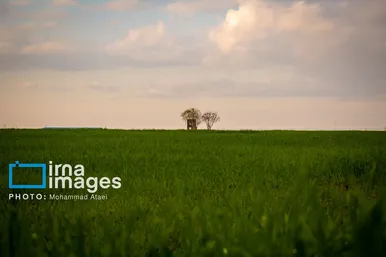 ایران زیباست | بهارِ گلستان