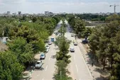 آغاز فرایند تغییر الگوی کاشت معابرشهری مشهد | گونه‌های بومی و کم نیاز جایگزین گونه‌های پرمصرف