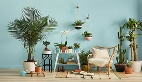 چگونه با سبزتر کردن منازل، طول عمرمان را افزایش دهیم؟